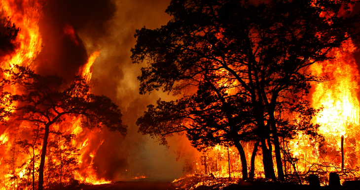 Mơ thấy link kubet cháy rừng thì đánh con số nào? 10 điều cần biết